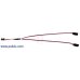 画像3: Servo Y Splitter Cable 12" Female - 2x Male (3)