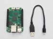 画像4: BeagleBone Green カートン販売（143個） (4)